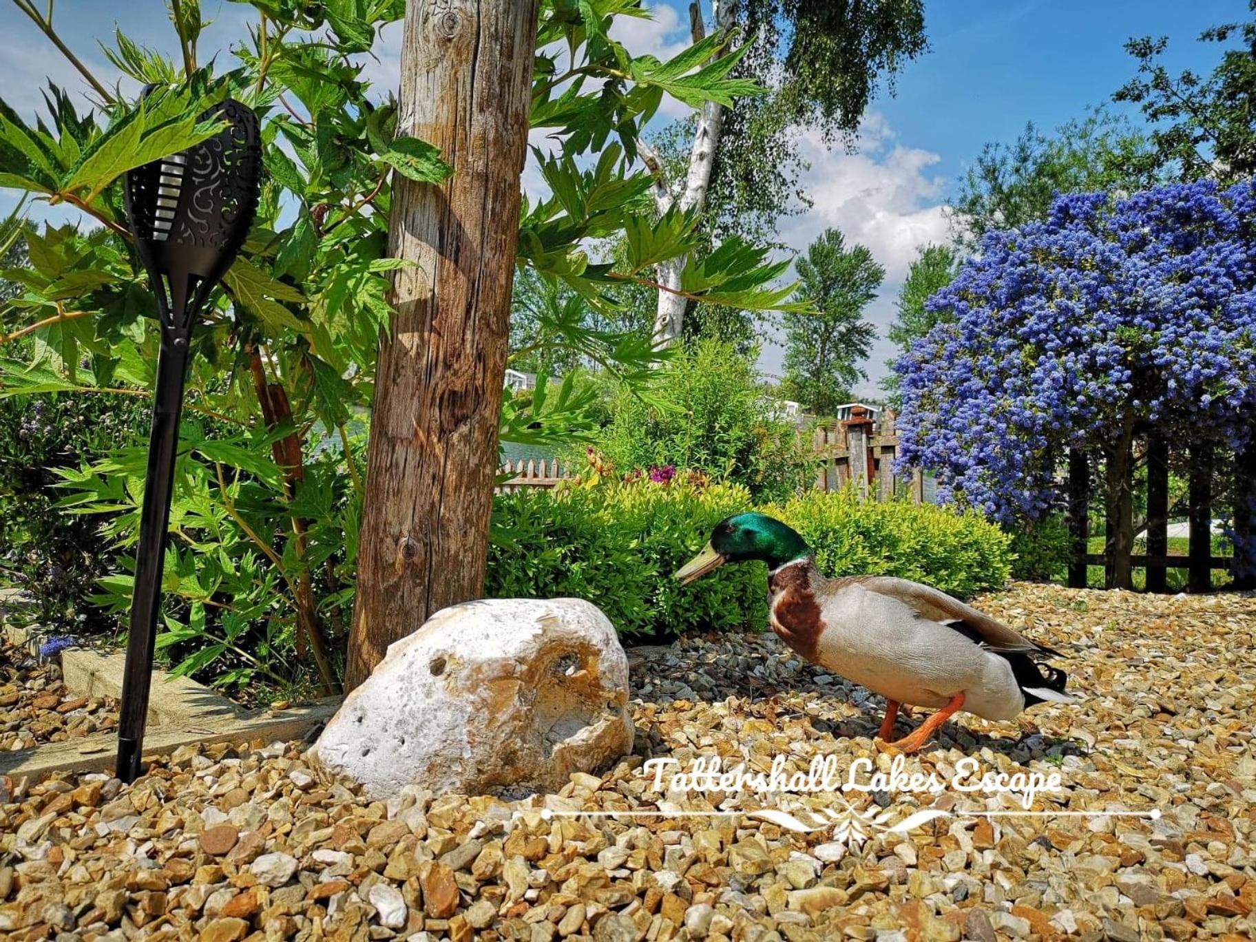 Meridian Tattershall Lakes Escape - Lakeside Lodge Caravan With A Fishing Peg Luxury Hot Tub Exterior foto